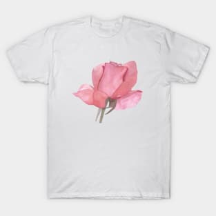 Pink Rose, watercolor painting T-Shirt